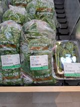 팜모닝 두릅·영농일지 게시글 이미지