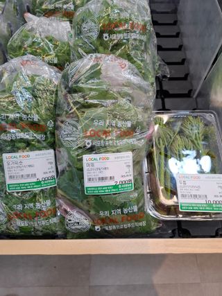 철남 김희곤님의 두릅 · 영농일지 작성글 사진