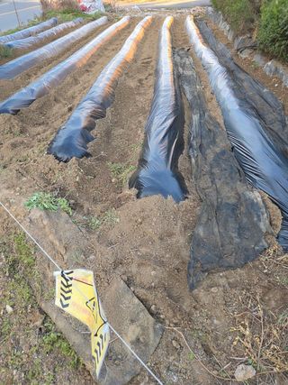 김연숙님의 작성글 사진