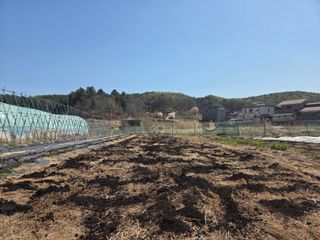 김윤회님의 고구마 · 영농일지 작성글 사진