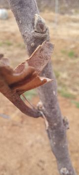 김종식님의 작성글 사진