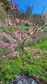 주윤발이님의 작성글 사진