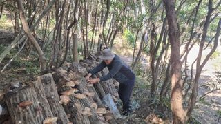 최강K님의 버섯 · 영농일지 작성글 사진