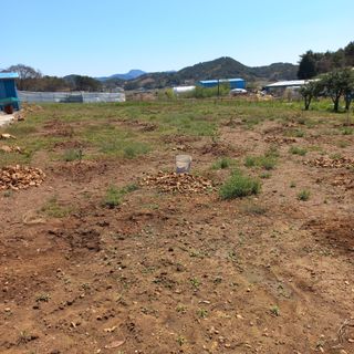 김건우님의 기타작물 · 영농일지 작성글 사진