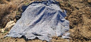 이복길님의 기타작물 · 영농일지 작성글 사진