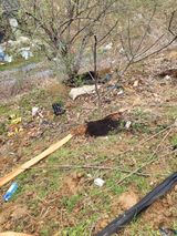 최병우님의 작성글 사진