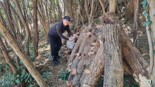 최강K님의 버섯 · 영농일지 작성글 사진