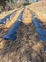 호랑이별님의 작성글 사진