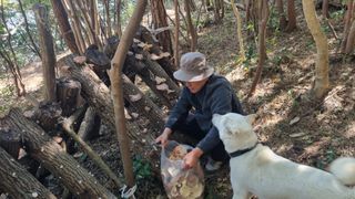 최강K님의 버섯 · 영농일지 작성글 사진