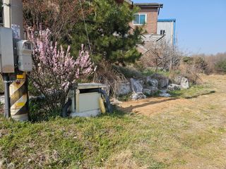 이미옥님의 벼 · 영농일지 작성글 사진