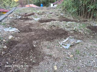 덕포킴님의 기타작물 · 영농일지 작성글 사진