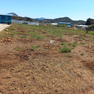 김건우님의 기타작물 · 영농일지 작성글 사진