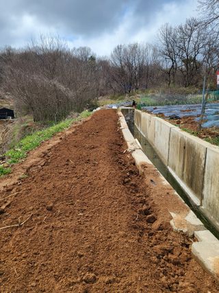 최병우님의 벼 · 영농일지 작성글 사진