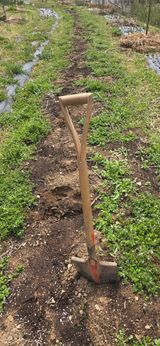 팜모닝 기타작물·영농일지 게시글 이미지