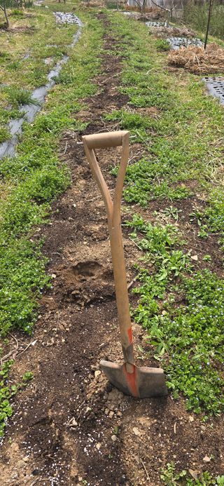 돌복숭아님의 기타작물 · 영농일지 작성글 사진