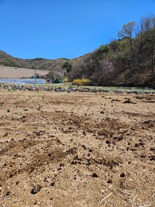 드라곤해드님의 기타작물 · 영농일지 작성글 사진