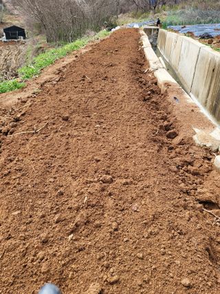 최병우님의 벼 · 영농일지 작성글 사진