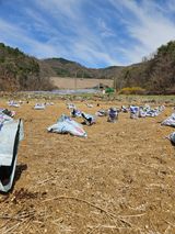 드라곤해드님의 작성글 사진