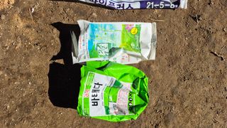 김용훈 님의 옥수수 · 영농일지 작성글 사진