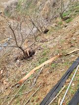 최병우님의 작성글 사진