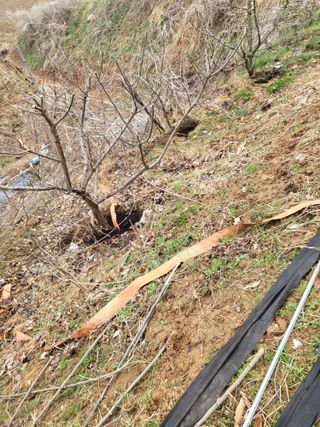 최병우님의 벼 · 영농일지 작성글 사진