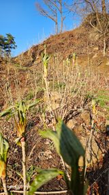 염봉섭님의 작성글 사진