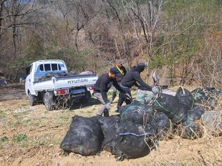 감20192님의 기타작물 · 영농일지 작성글 사진
