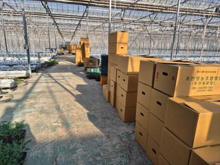 늘햇살팜 님의 기타작물 · 영농일지 작성글 사진