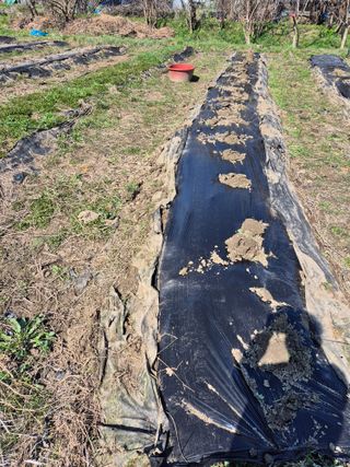 상숙님의 작성글 사진