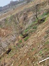 팜모닝 벼·영농일지 게시글 이미지