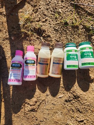 블루베리19036님의 사과 · 영농일지 작성글 사진