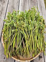 황미순님의 작성글 사진