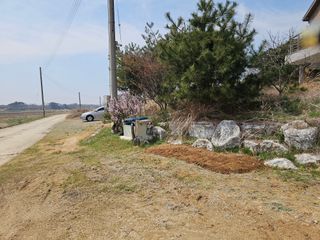 이미옥님의 벼 · 영농일지 작성글 사진