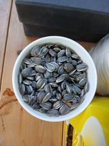 팜모닝 두릅·영농일지 게시글 이미지