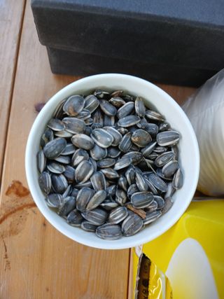 김홍중님의 작성글 사진