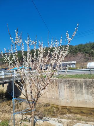 참깨16081님의 기타작물 · 영농일지 작성글 사진