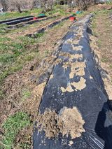 상숙님의 작성글 사진