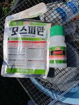 서선옥님의 작성글 사진