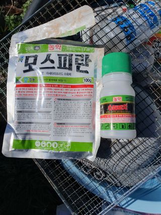 서선옥님의 매실 · 영농일지 작성글 사진