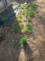 팜모닝 기타작물·영농일지 게시글 이미지