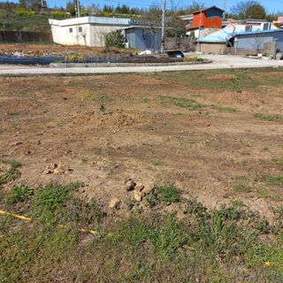 김건우님의 기타작물 · 영농일지 작성글 사진