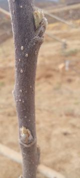 김종식님의 작성글 사진