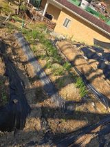 진전님의 작성글 사진