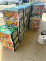 팜모닝 기타작물·영농일지 게시글 이미지