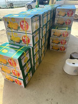 유호진님의 기타작물 · 영농일지 작성글 사진