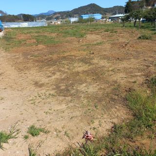 김건우님의 기타작물 · 영농일지 작성글 사진