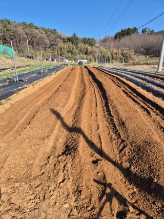 주병민님의 기타작물 · 영농일지 작성글 사진