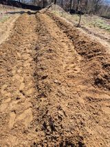 팜모닝 기타작물·영농일지 게시글 이미지