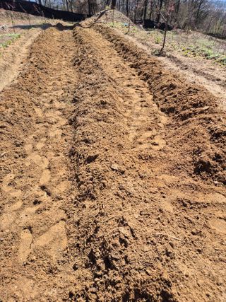 호랑이별님의 작성글 사진