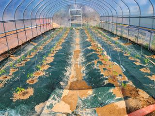 노복우님의 작성글 사진